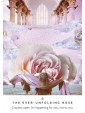 Second-hand Work Your Light Oracle Cards by Rebecca Campbell & Danielle Noel